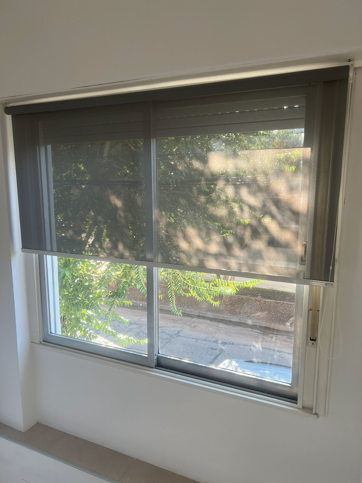 Cortina Roller Sunscreen vista general